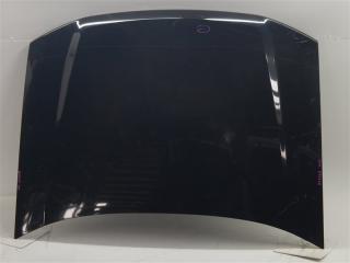 Капот Chevrolet Trailblazer GMT360 LL8 2003 ОРИГИНАЛ дефект, дефект ЛКП Кемерово (ул. Проездная)