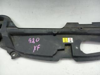 CC9 FB накладка на рамку радиатора Xf
