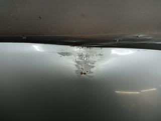 Капот ZZT241W 1ZZ Caldina