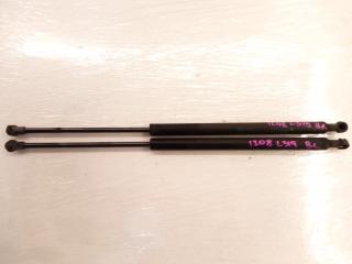 Амортизатор багажника Land Rover Discovery 3 L319 406PN 2008 Оригинал. Комплект 2 шт. Кемерово (ул. Проездная)