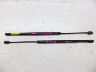 Амортизатор багажника Chevrolet Trailblazer GMT370 LL8 2006 Комплект 2 шт. На стекло. Краснодар