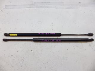 Амортизатор багажника Chevrolet Trailblazer GMT370 LL8 2006 Комплект 2 шт. Краснодар