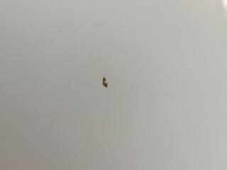 W203 271.946 крыло C-class