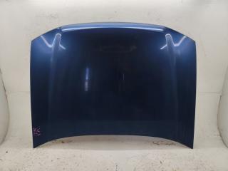 Капот Chevrolet Trailblazer GMT360 LL8 2003 Оригинал, дефект ЛКП. Краснодар