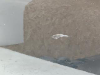 PY50 VQ35DE дверь Fuga