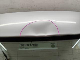 Дверь багажника 3T5 CFGB Superb