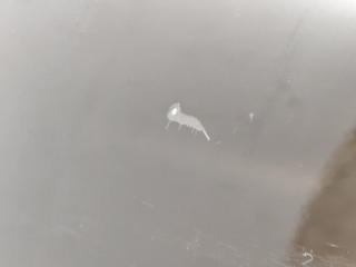 PY50 VQ35DE дверь Fuga