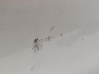 W203 271.946 дверь C-class